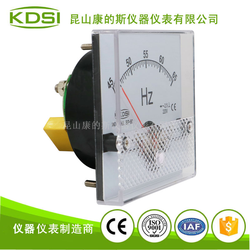 指针式频率测量仪 BP-80 45-65Hz 220V