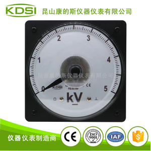 指針式圓形電壓表LS-110 DC10V 5kV